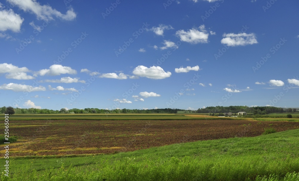 绿野蓝天的夏日景观