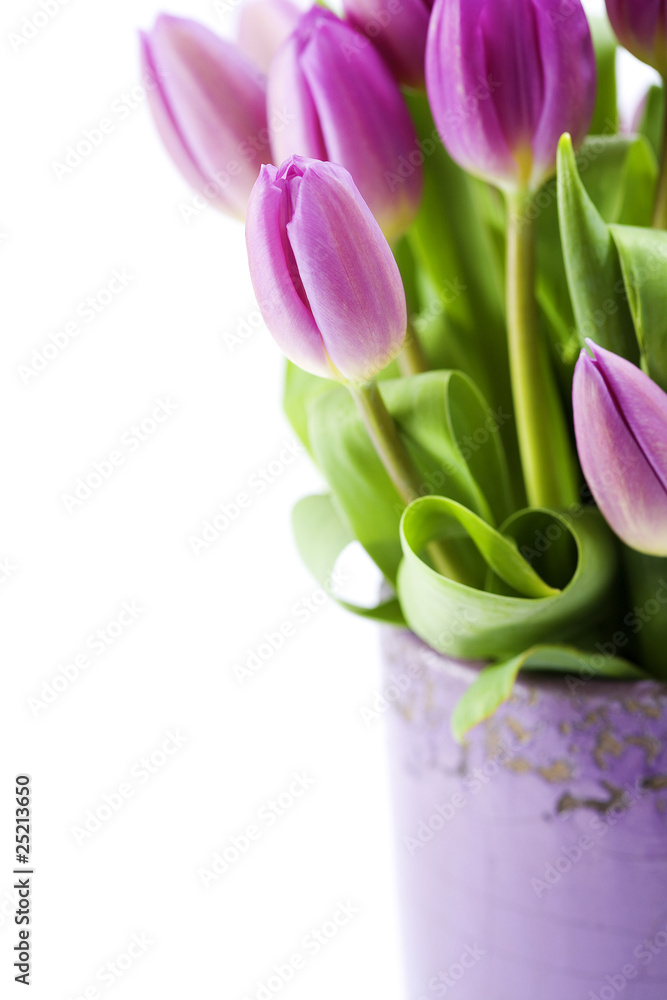 Pink tulips