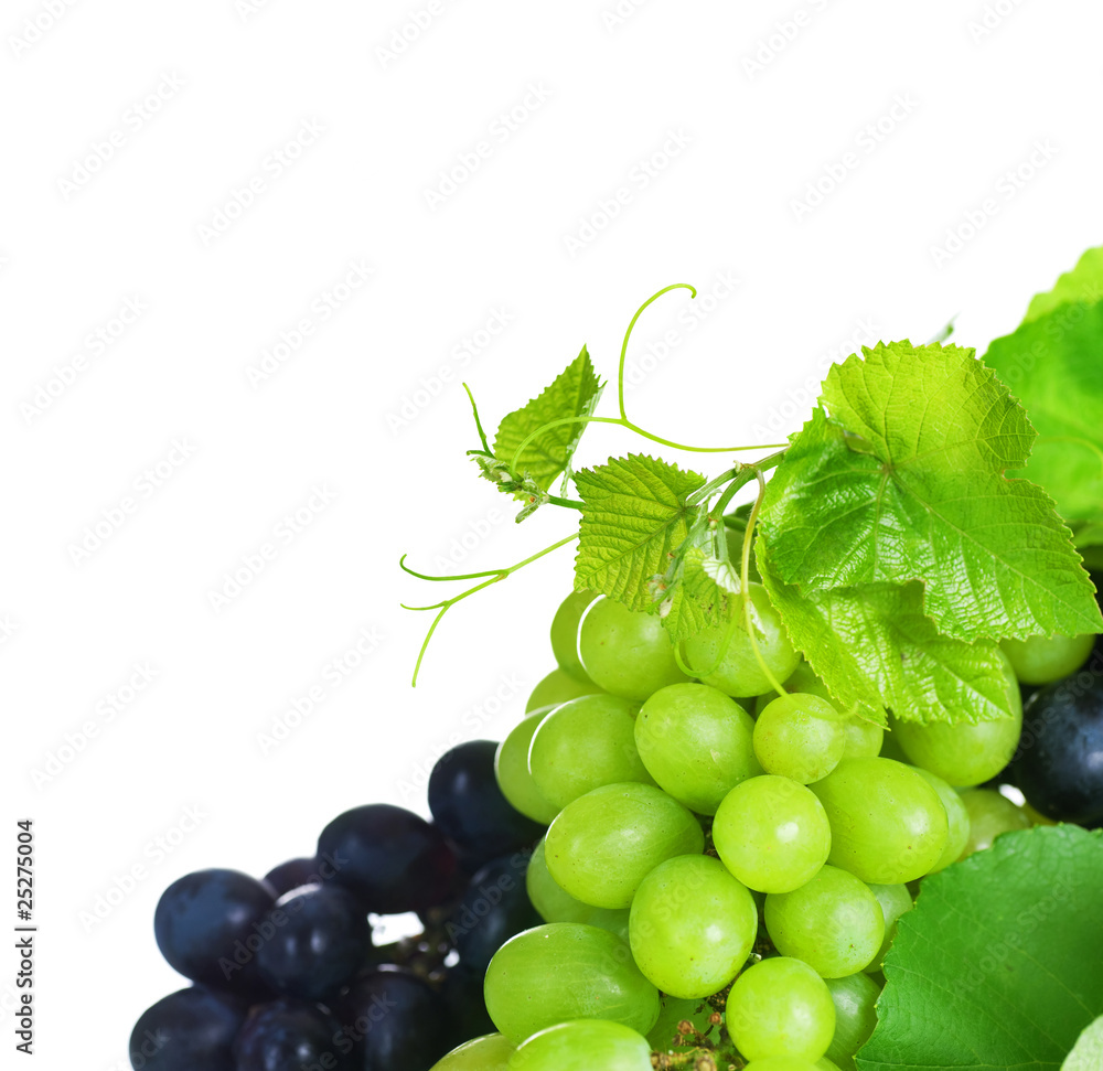 Grapes border isolated on White