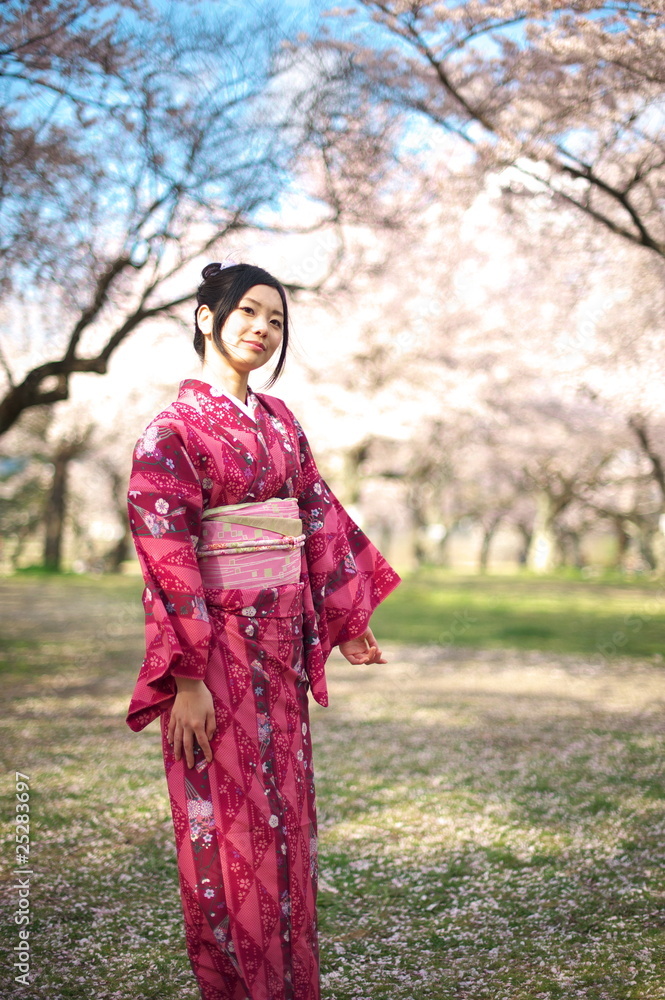 桜　着物　日本