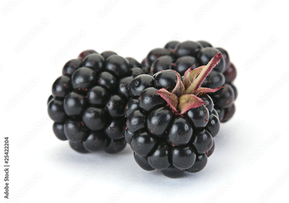 Blackberry berry