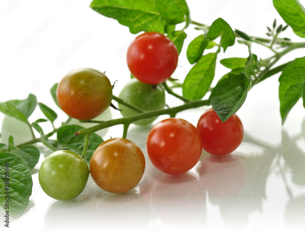 cherry tomatoes