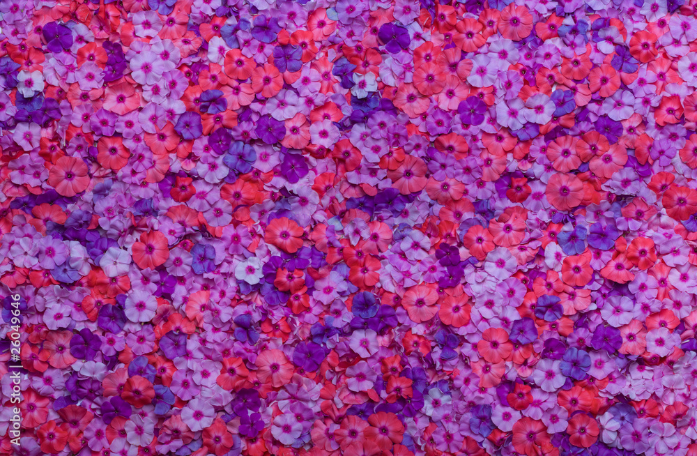 flowers background