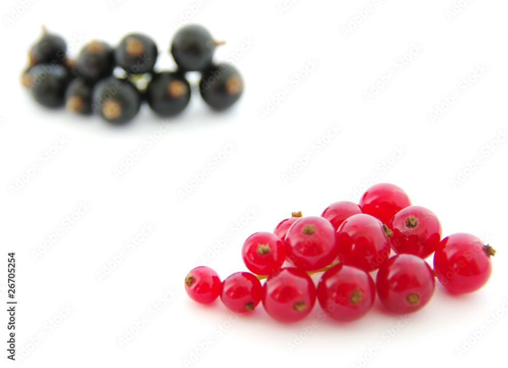 red currants