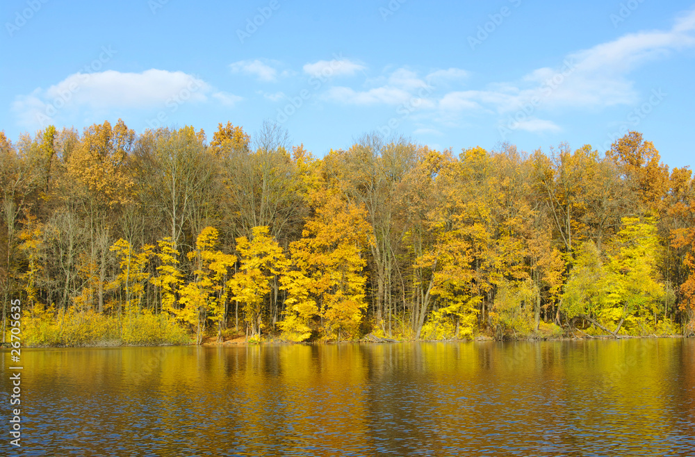 autumn landscape