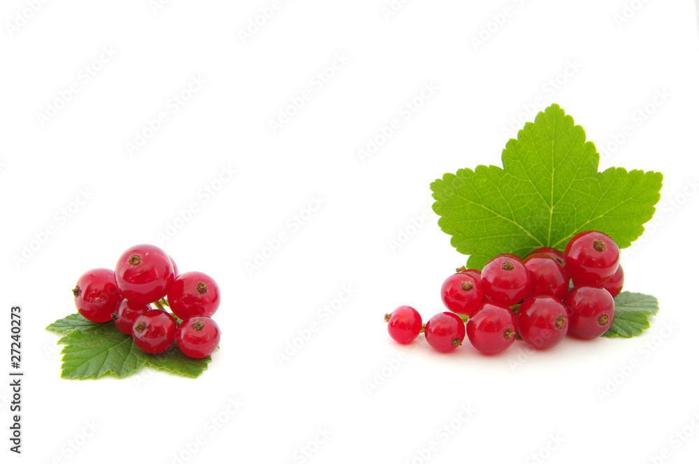 red currants