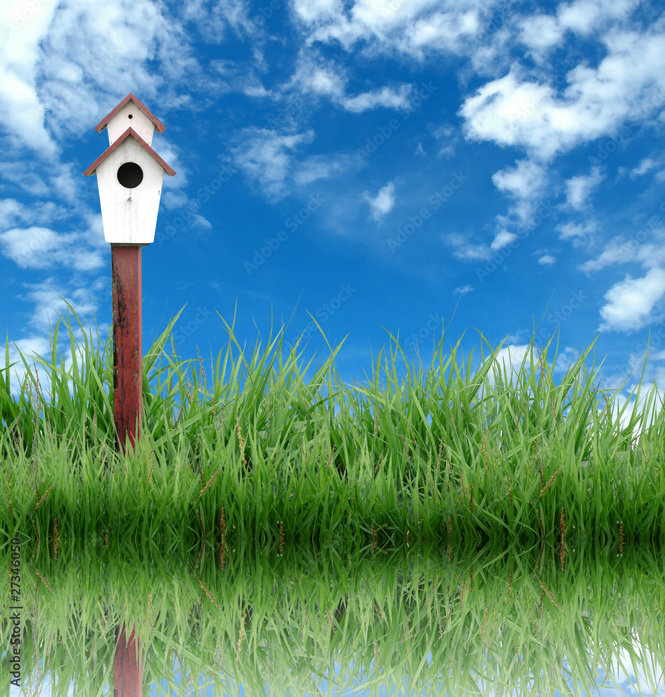 birdhouse in the garden