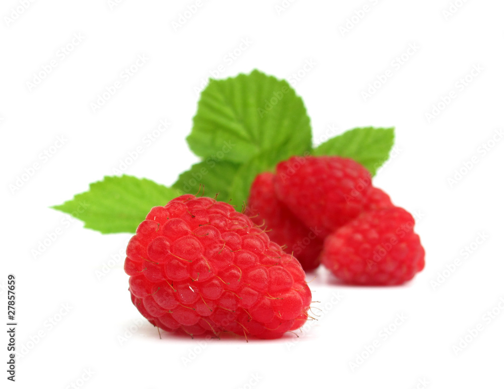 Raspberry with green leaves