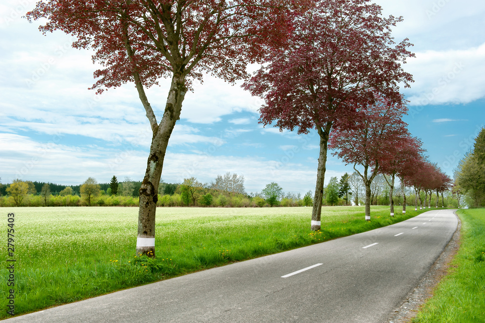 Countryside road