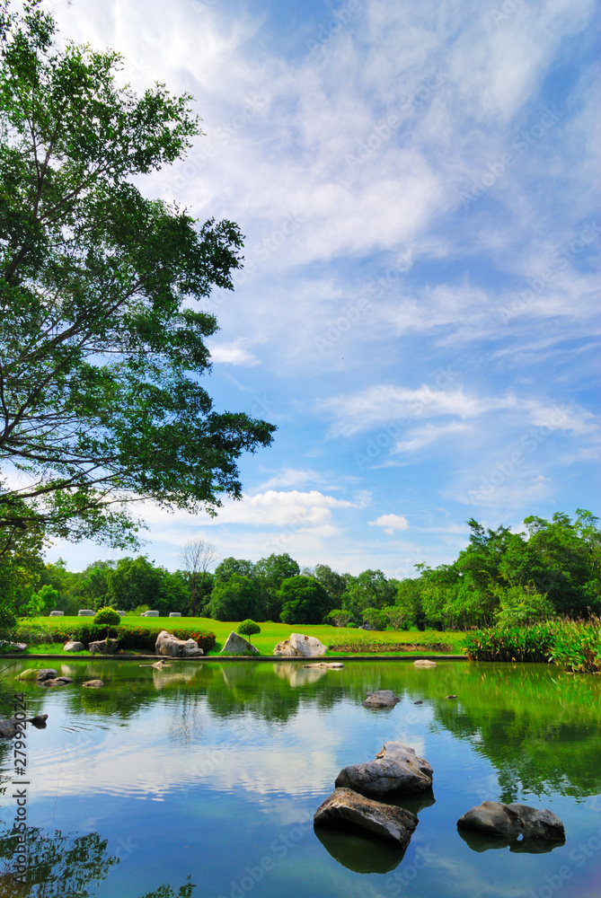 Rock in garden pond