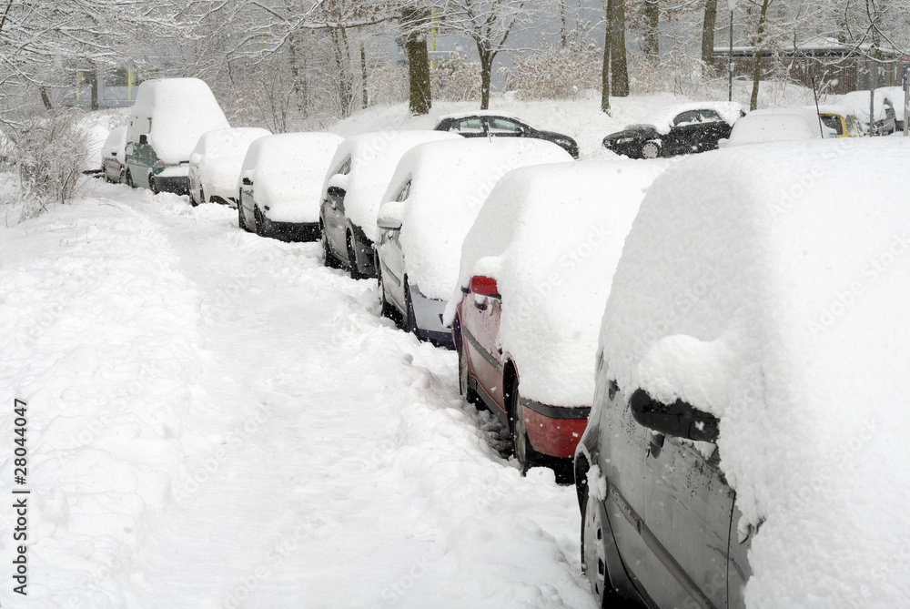 Eingeschneite Autos in einer Reihe