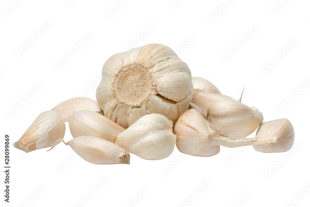 Garlic