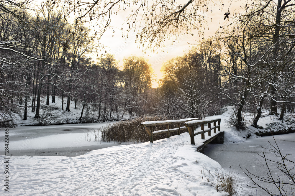 Winter landscape