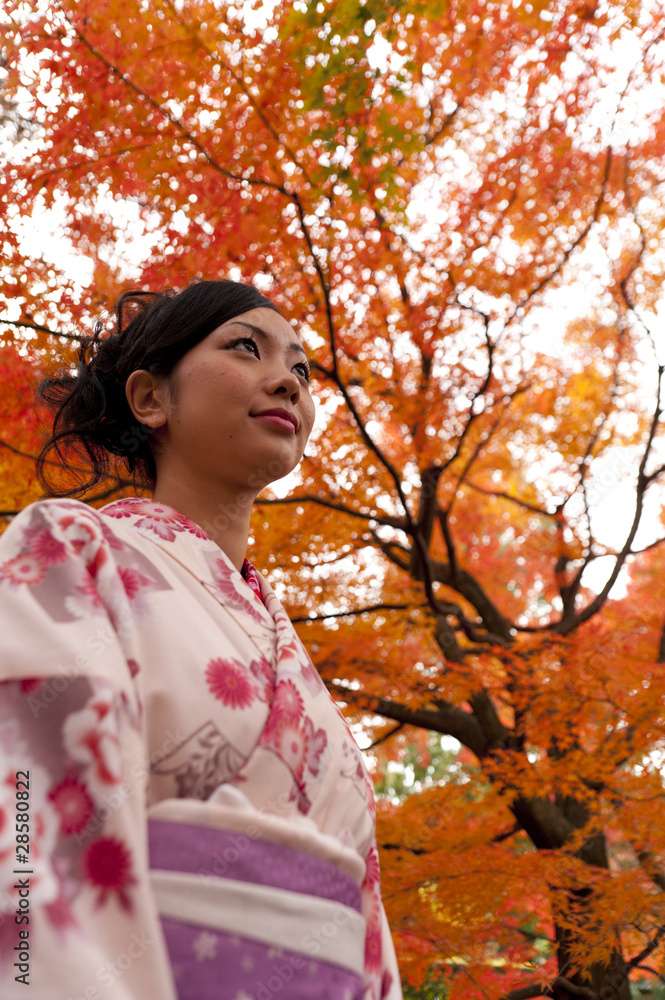 beautiful japanese woman wearing kimono