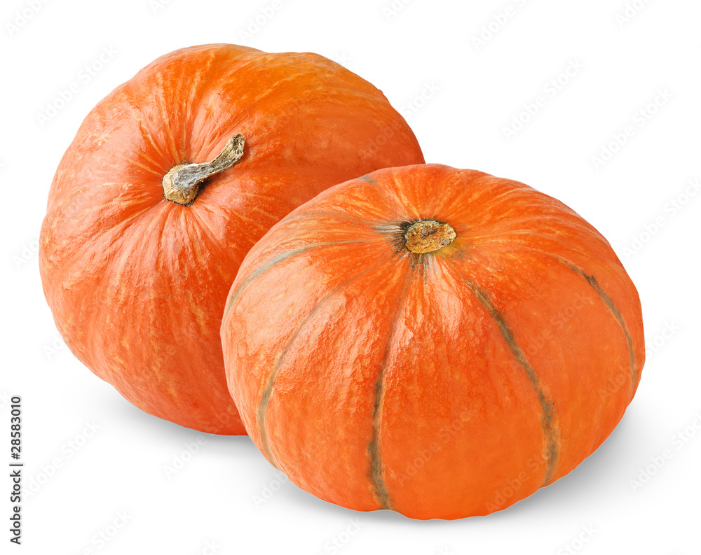 Isolated pumpkins. Two orange pumpkins isolated on white background