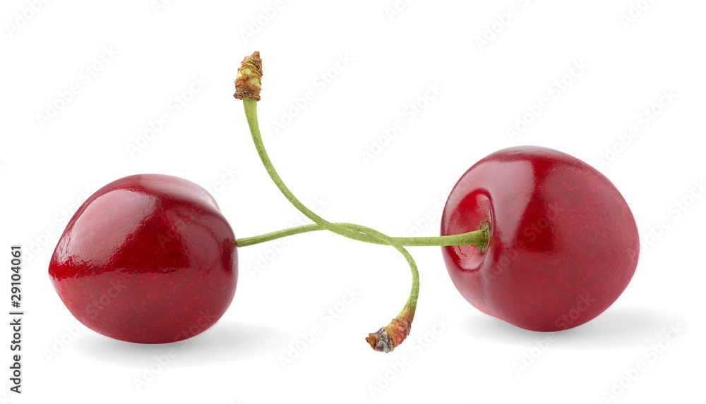 Isolated cherries. Two sweet cherries with crossed stems isolated on white background