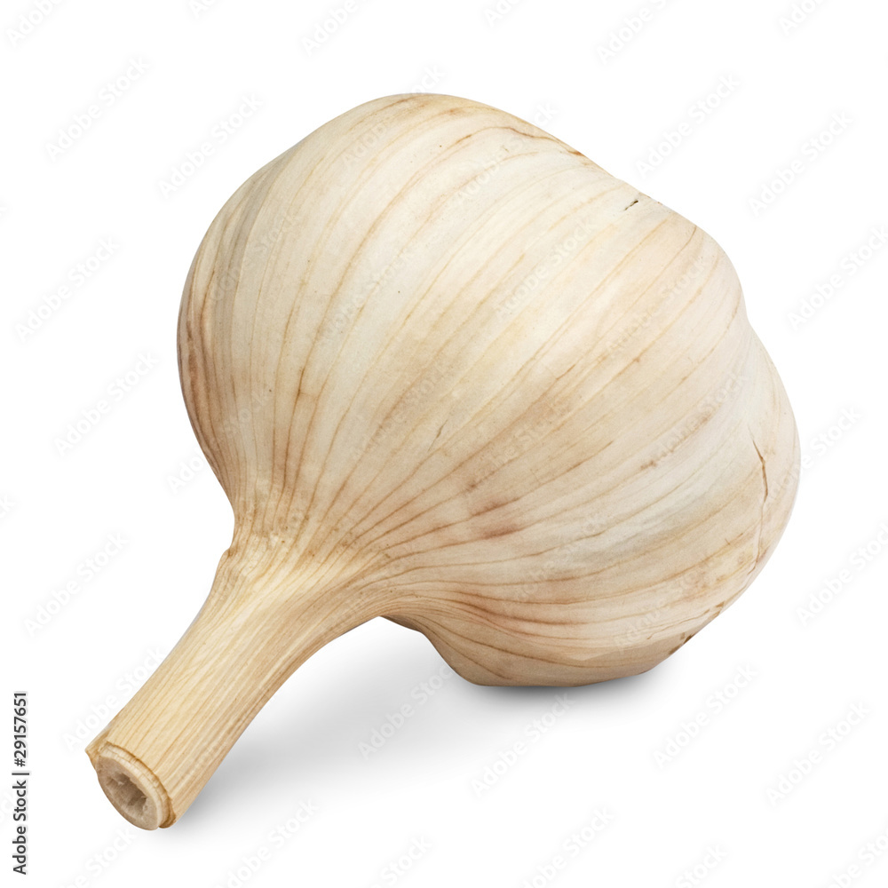 Garlic isolated on white background + Clipping Path