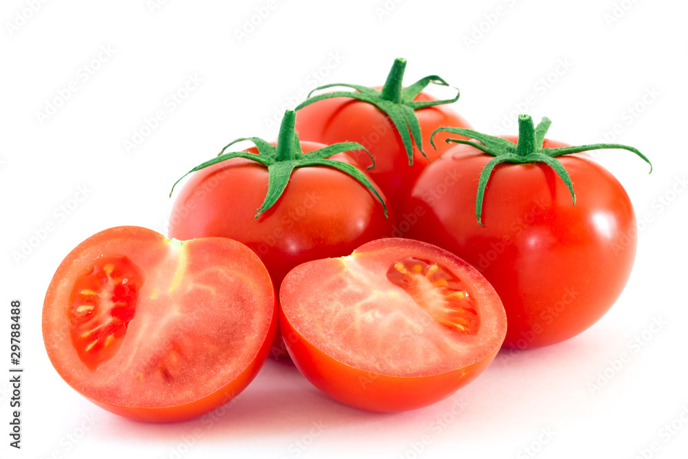 tomatos on white background