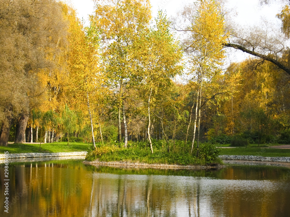 Autumn landscape