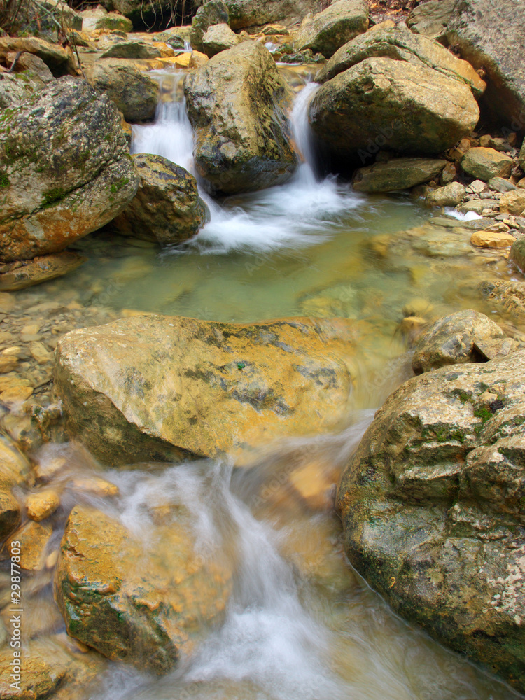 Creek amongst yellow stones in wood