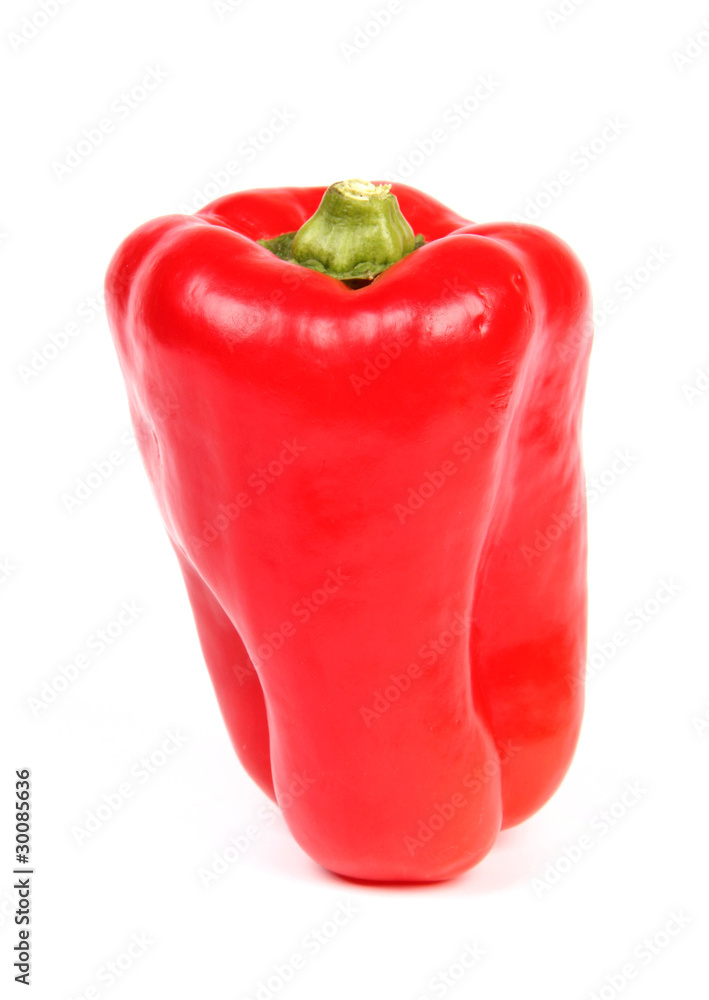 Red pepper on white background