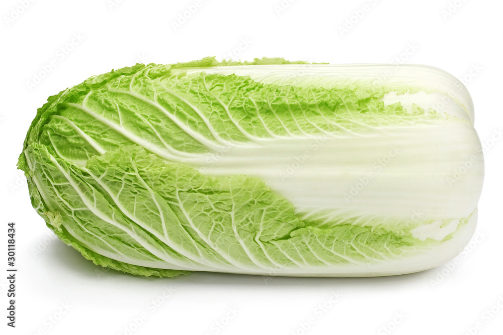 Chinese cabbage on white background