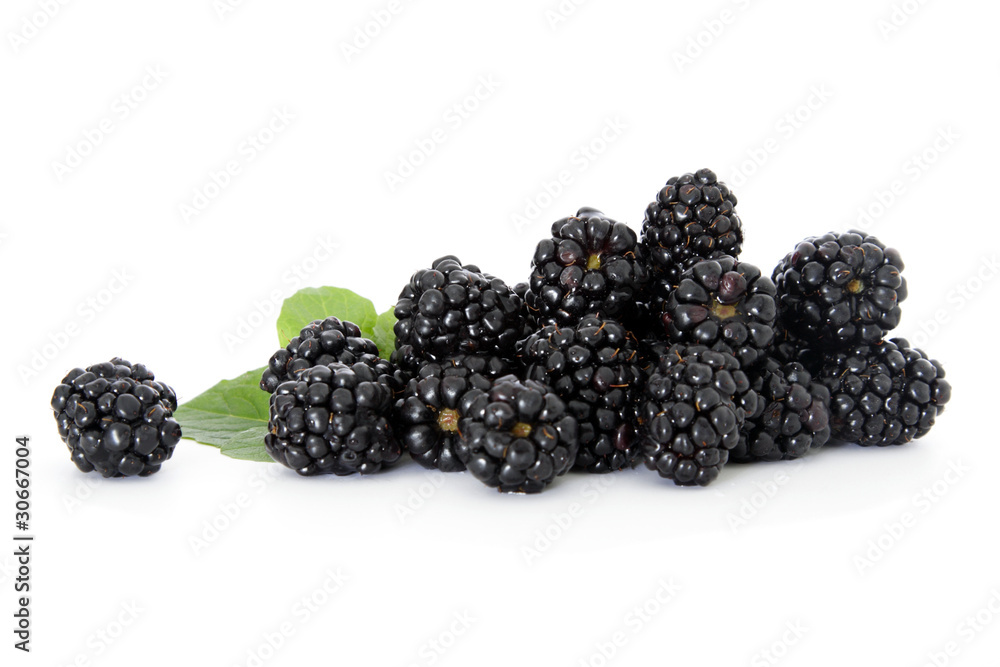 Brombeeren