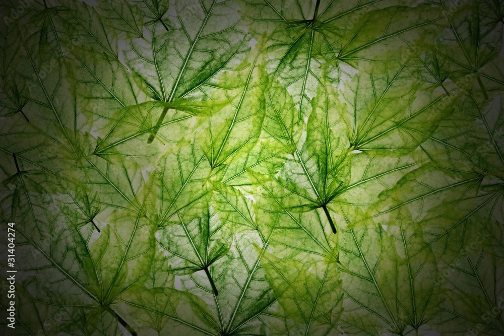 Dark background with transparent green leaves