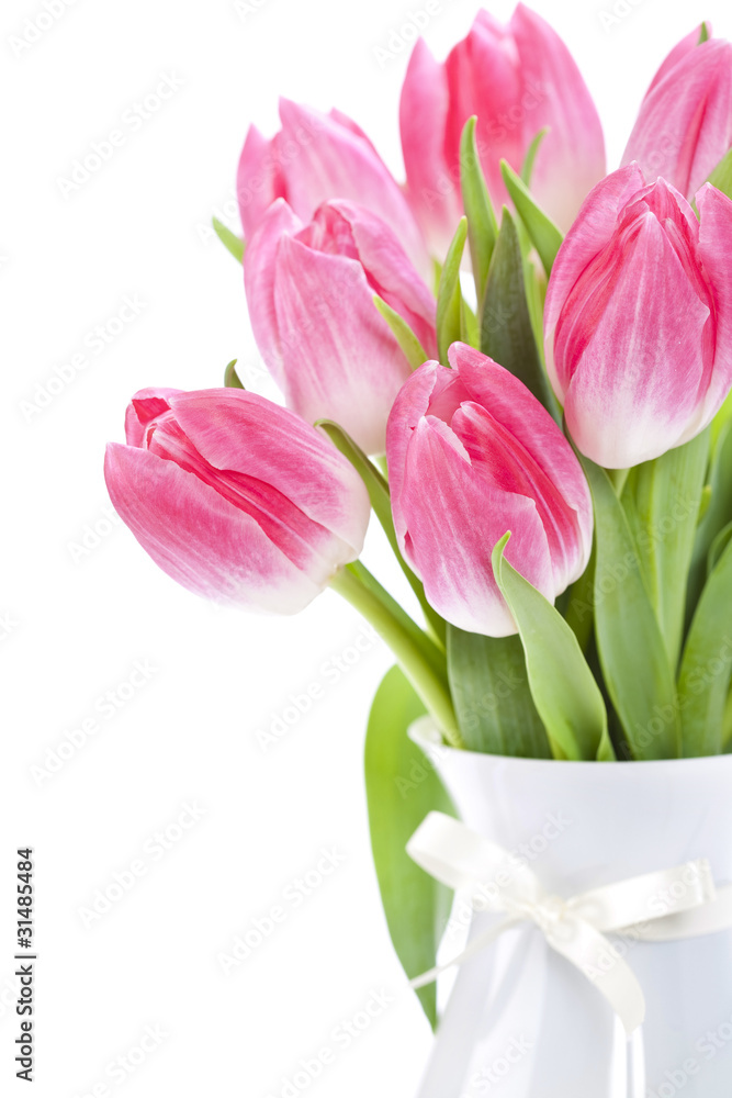 Pink tulips