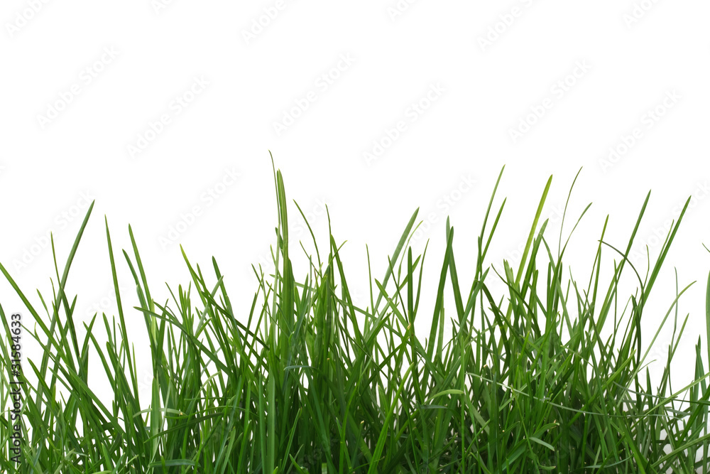 green grass