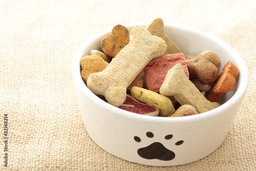 Dog food in bowl