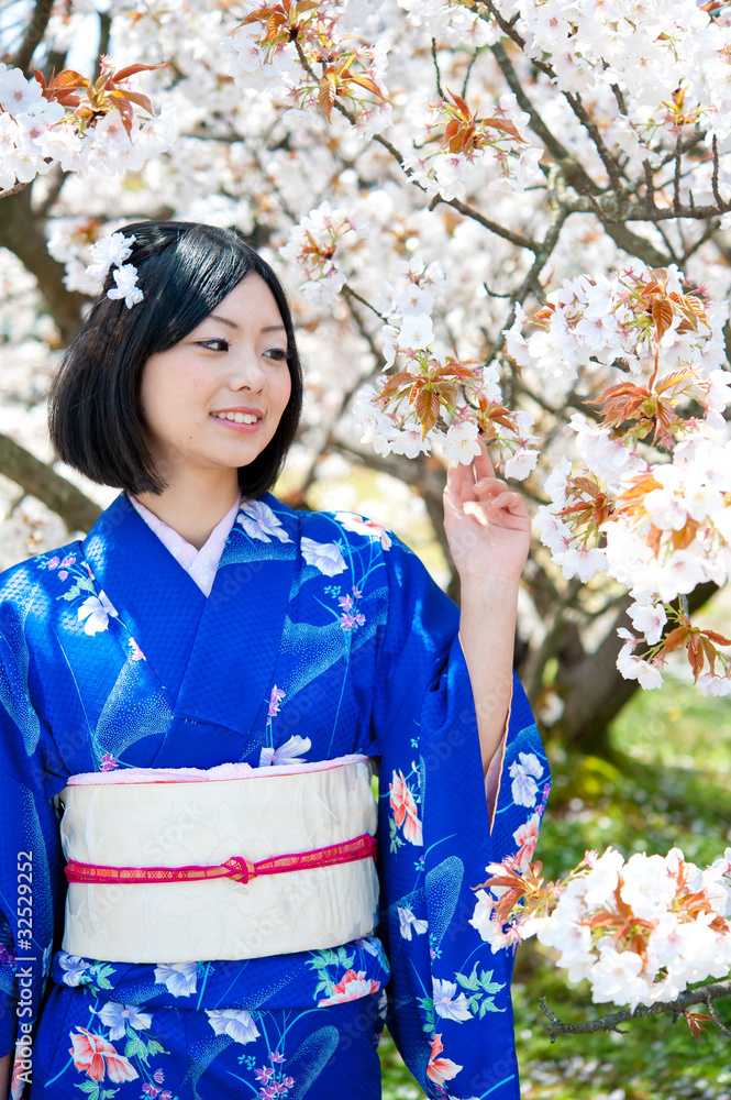 japanese kimono woman and cherry blossom