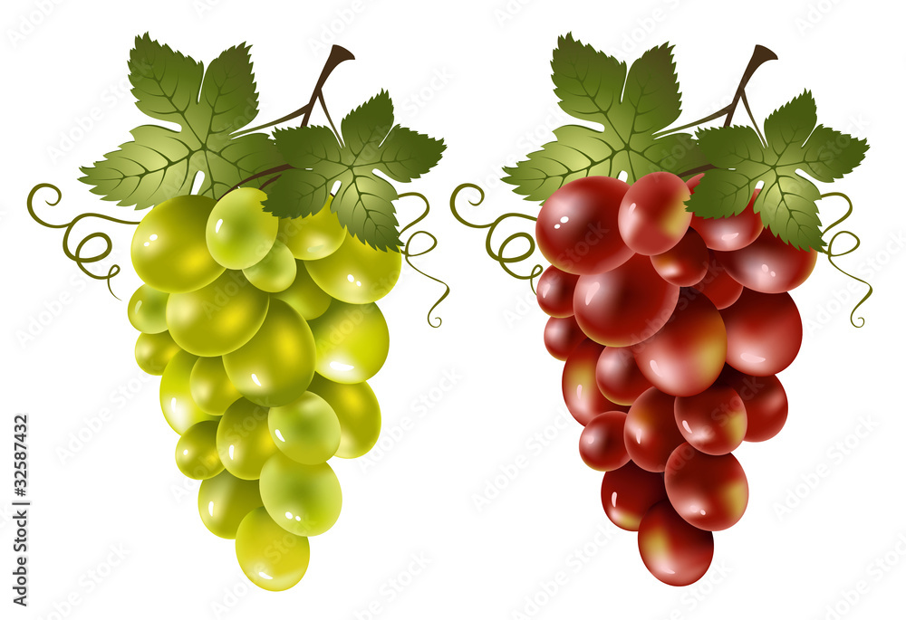 Red and green grape