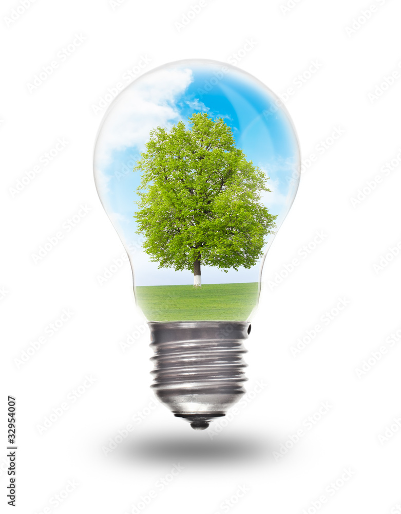 Light bulb with landscape inside