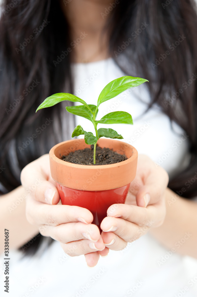 美丽的亚洲小植物女人