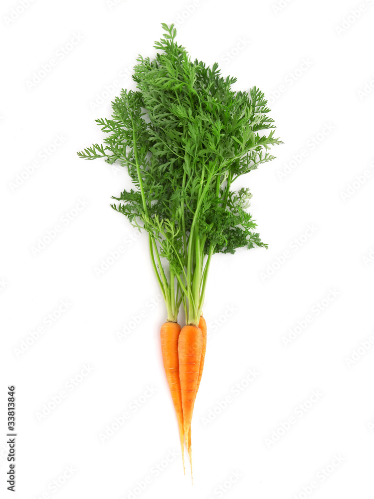 fresh carrots isolated on white background