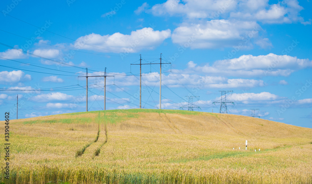 yellow field with ears against the blue sky