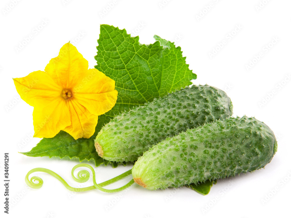 Cucumber isolated over white background