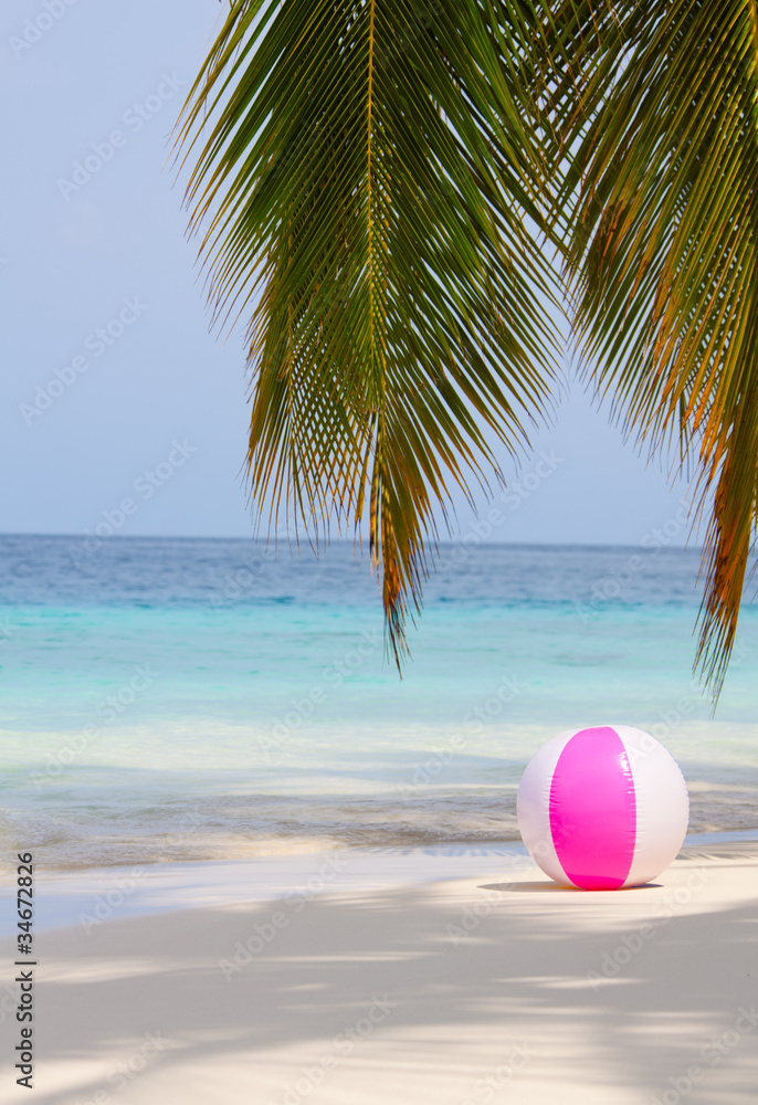 ball on the beach under the palm