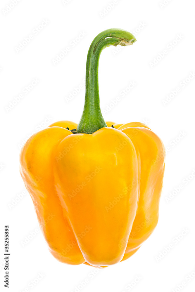 yellow peppers on a white background