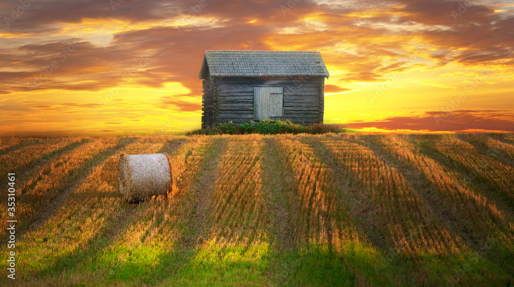 Rural landscape