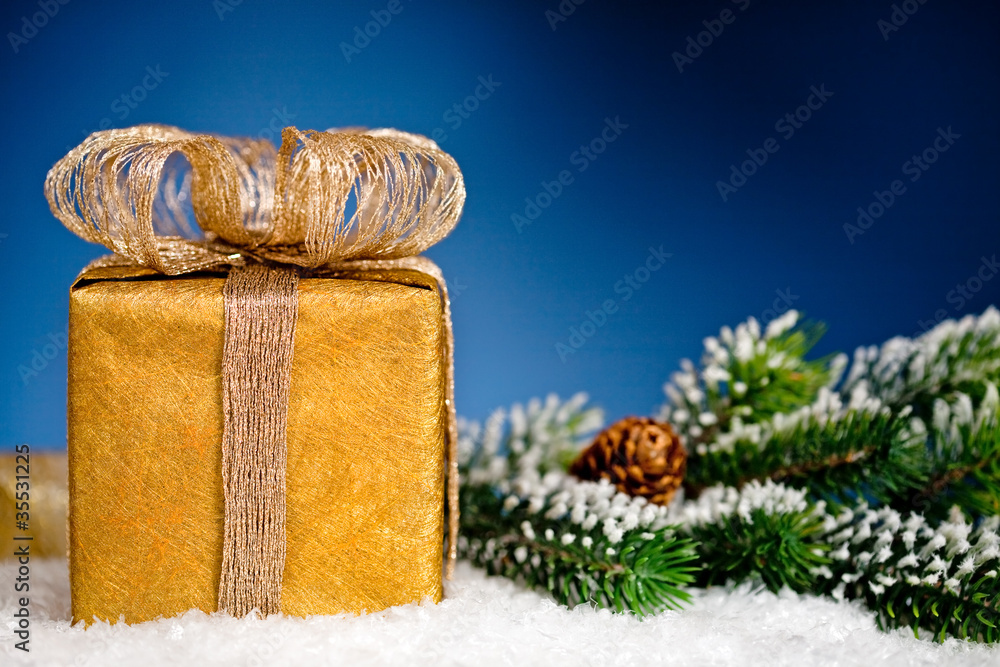 Gift box and Christmas tree branch in snow