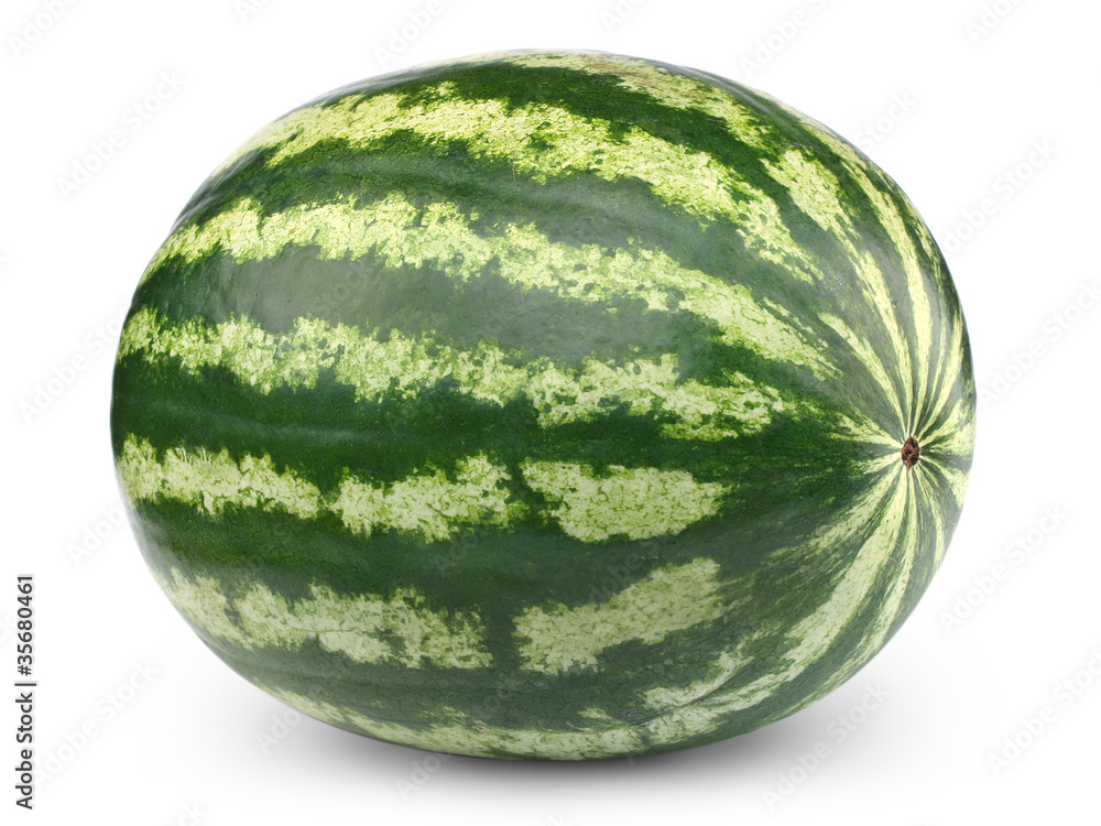 Watermelon isolated on white background + Clipping Path