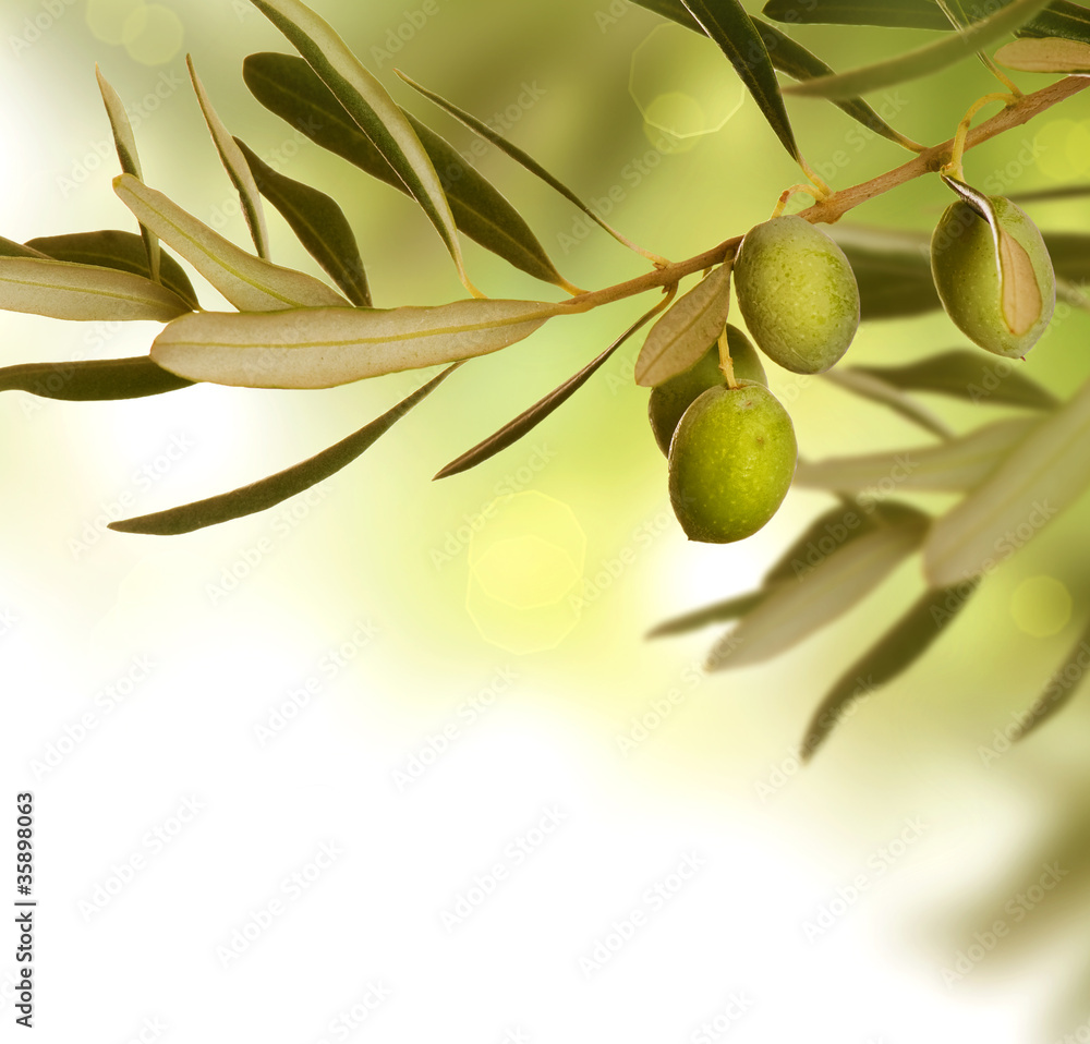 Olive border design