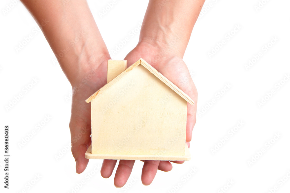 wood Home in the hand