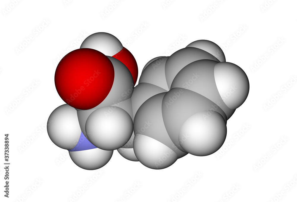 苯丙氨酸分子