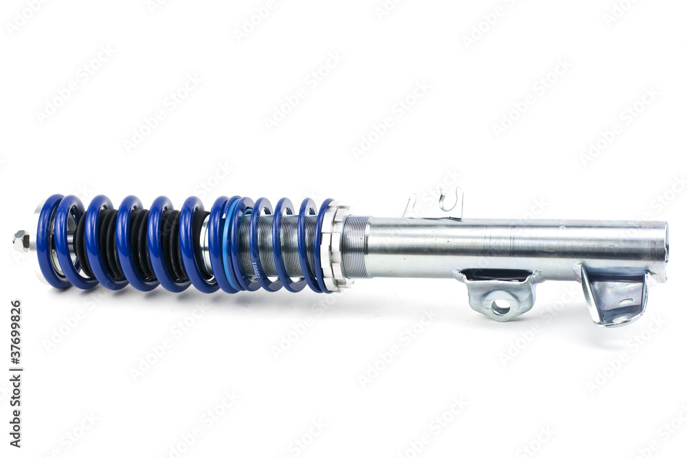 adjustable shock absorber