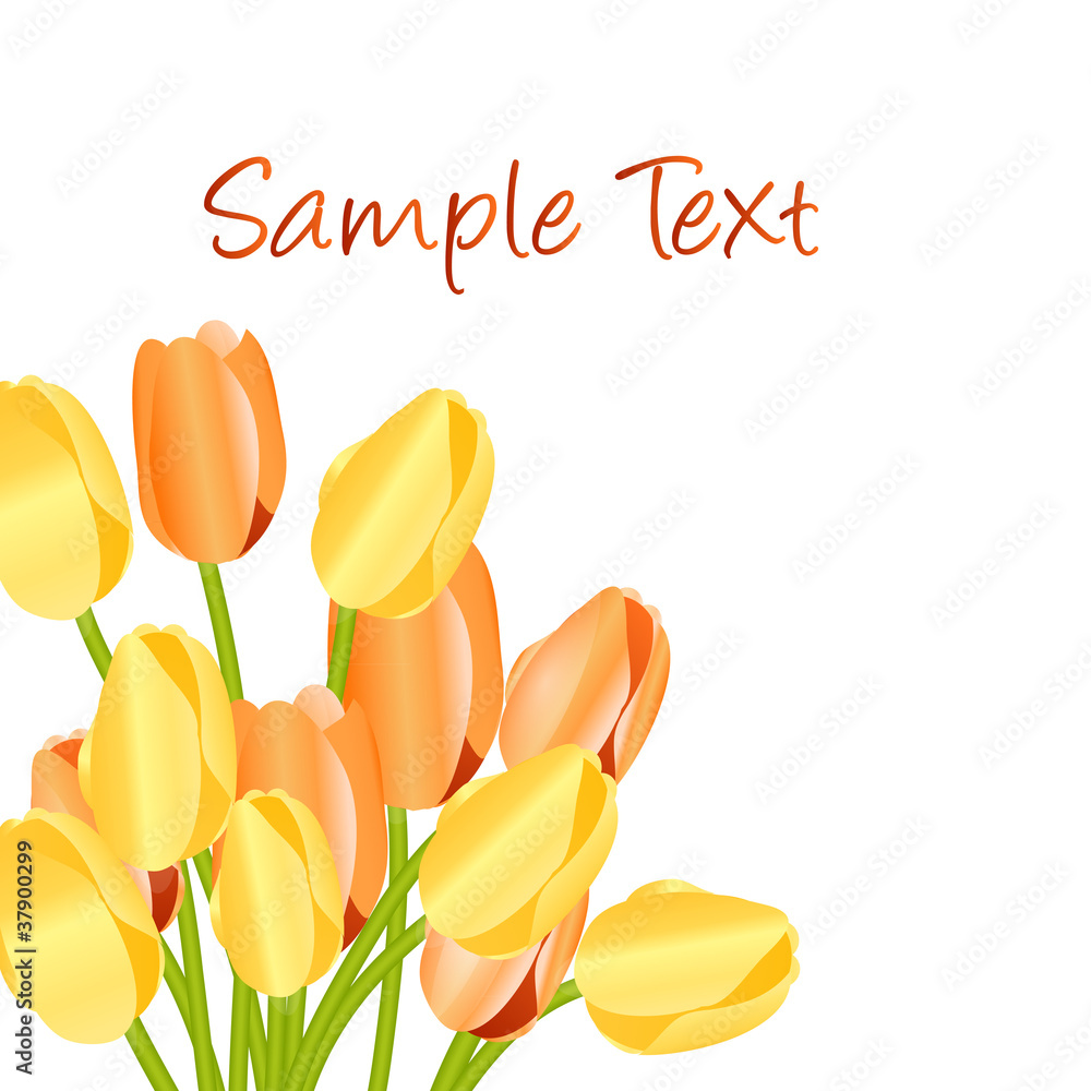 Floral background with tulips