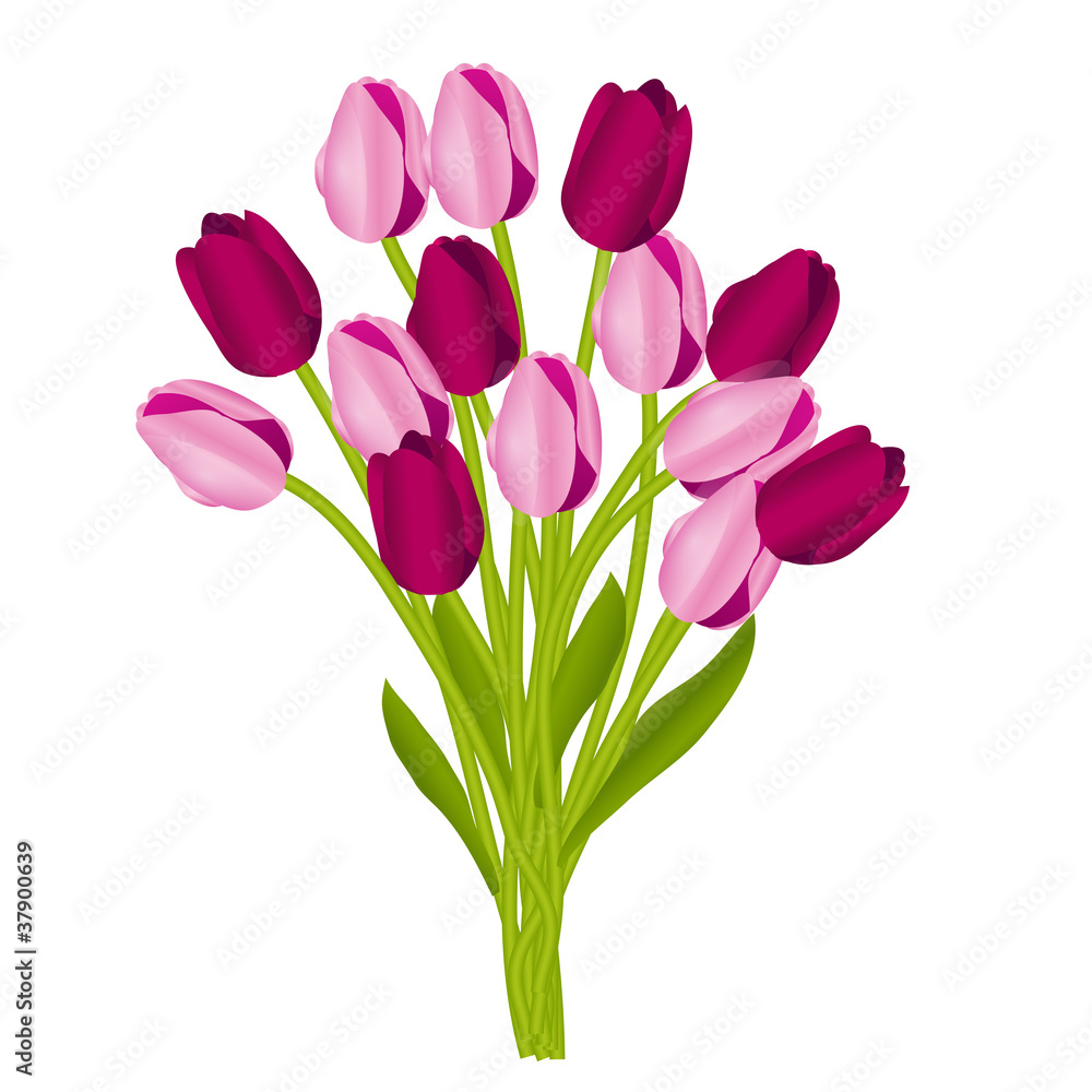 Floral background with tulips