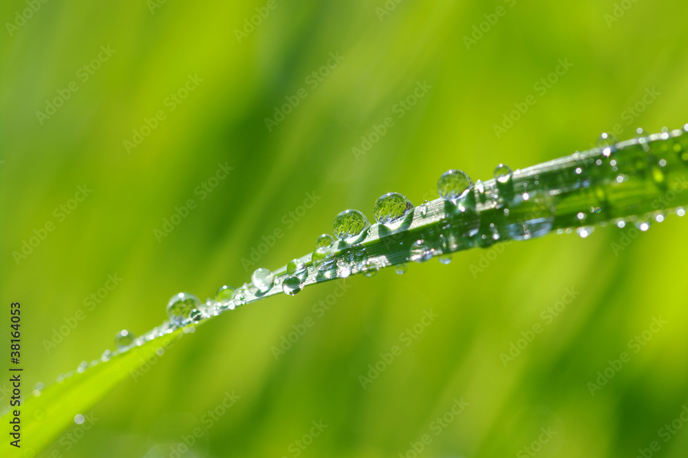 water drops